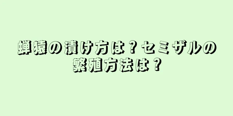 蝉猿の漬け方は？セミザルの繁殖方法は？