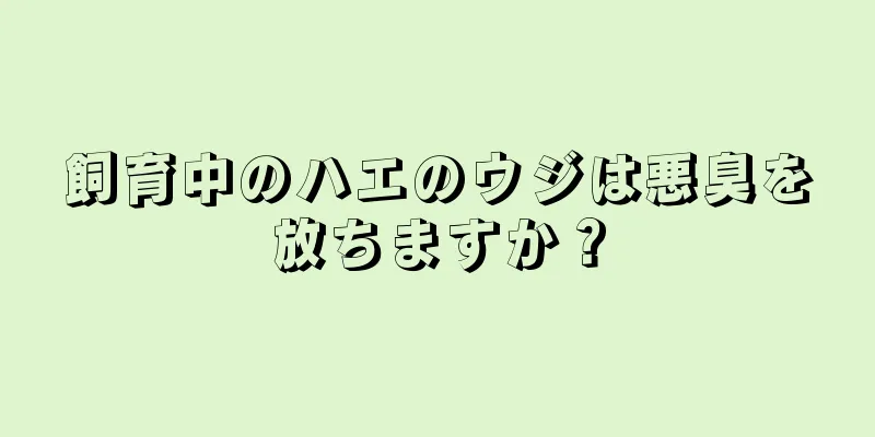 飼育中のハエのウジは悪臭を放ちますか？
