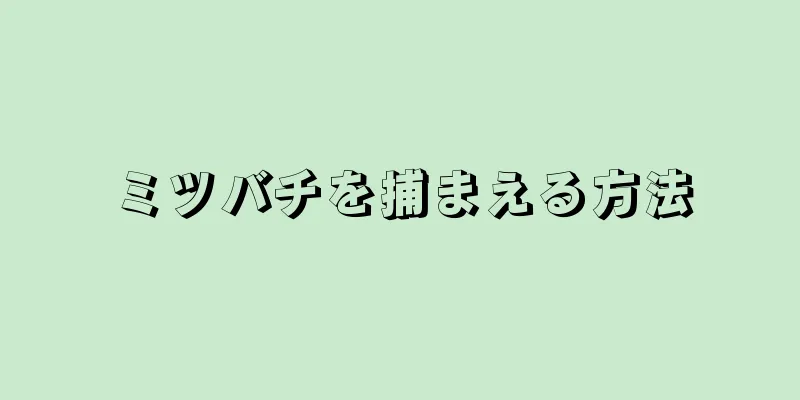 ミツバチを捕まえる方法