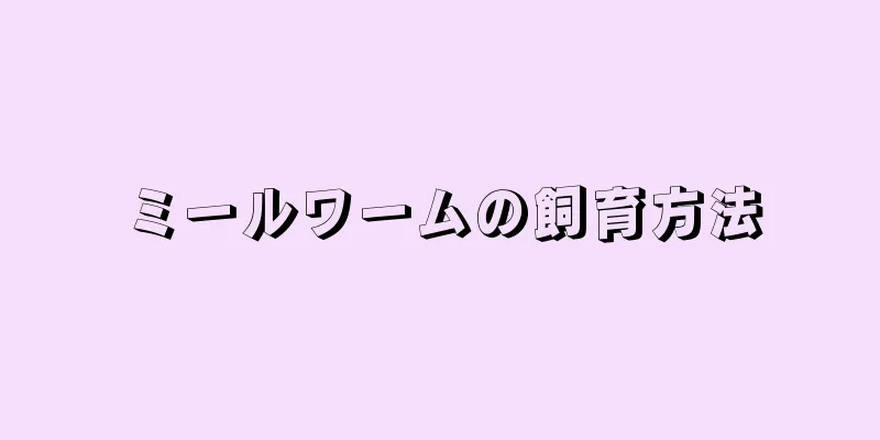 ミールワームの飼育方法
