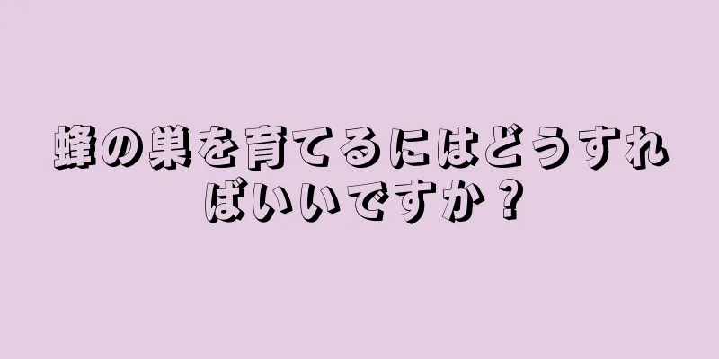 蜂の巣を育てるにはどうすればいいですか？