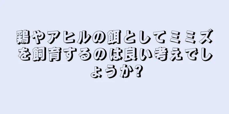 鶏やアヒルの餌としてミミズを飼育するのは良い考えでしょうか?