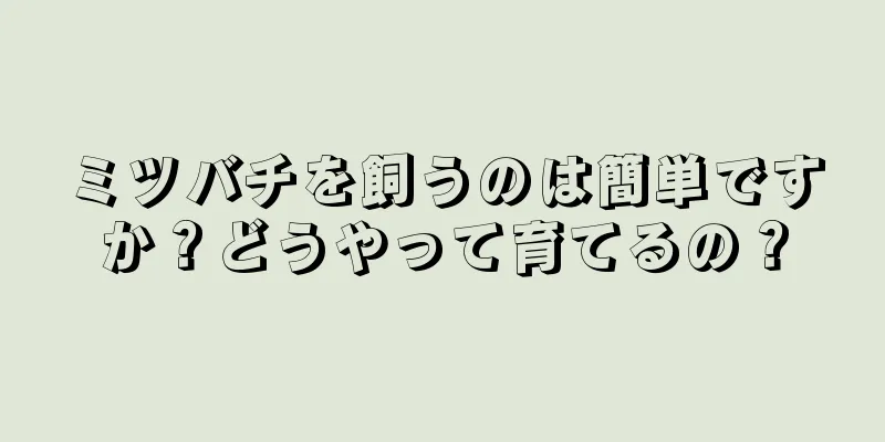 ミツバチを飼うのは簡単ですか？どうやって育てるの？