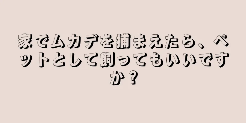 家でムカデを捕まえたら、ペットとして飼ってもいいですか？