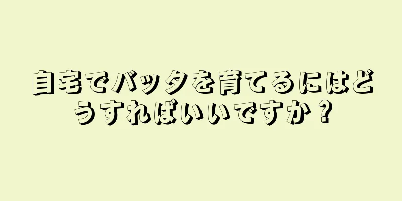 自宅でバッタを育てるにはどうすればいいですか？