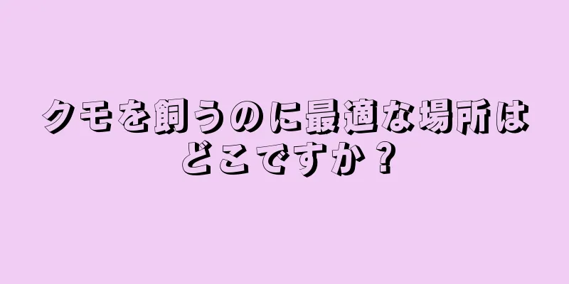 クモを飼うのに最適な場所はどこですか？