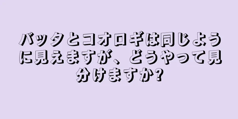 バッタとコオロギは同じように見えますが、どうやって見分けますか?