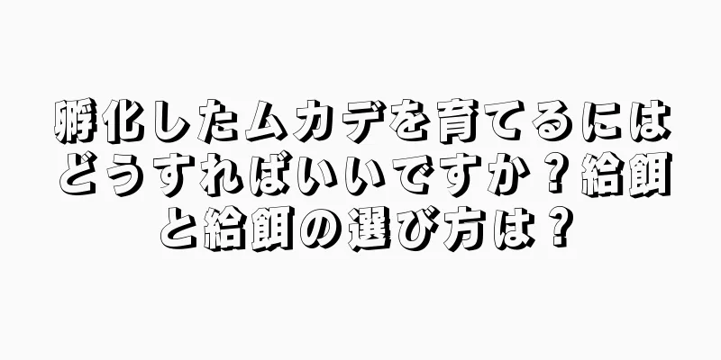 孵化したムカデを育てるにはどうすればいいですか？給餌と給餌の選び方は？