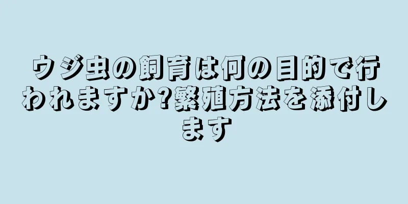 ウジ虫の飼育は何の目的で行われますか?繁殖方法を添付します