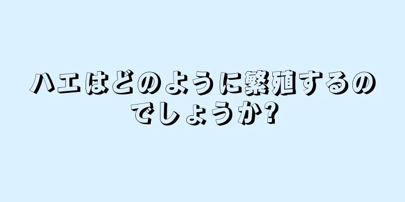 ハエはどのように繁殖するのでしょうか?