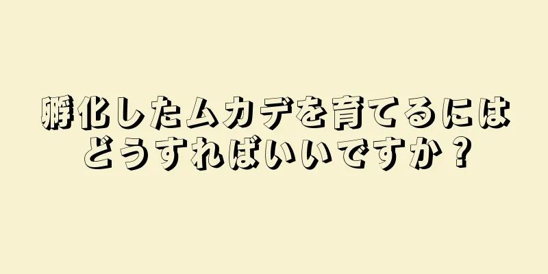 孵化したムカデを育てるにはどうすればいいですか？
