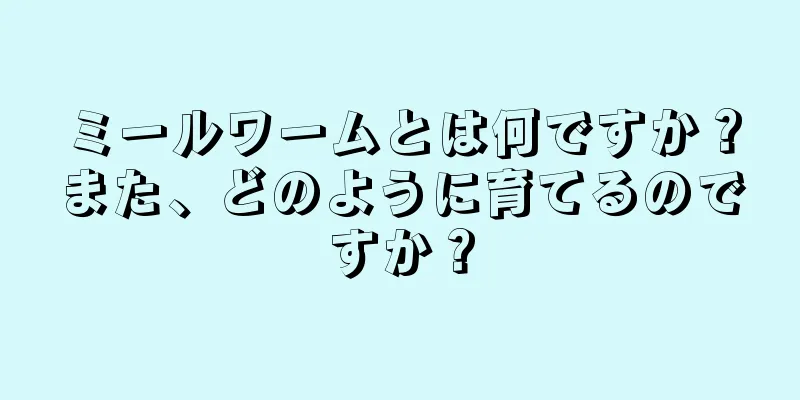 ミールワームとは何ですか？また、どのように育てるのですか？