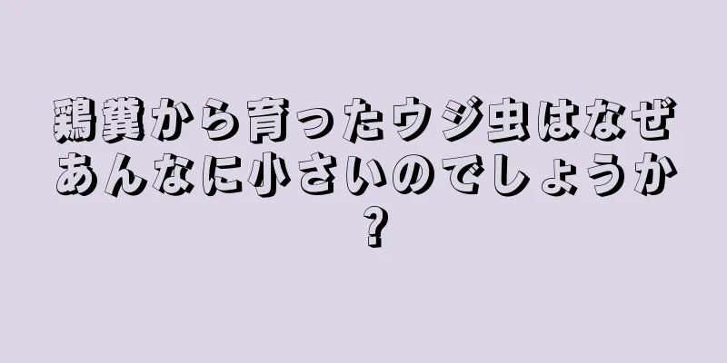 鶏糞から育ったウジ虫はなぜあんなに小さいのでしょうか？