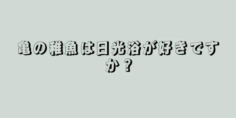 亀の稚魚は日光浴が好きですか？