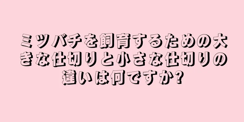 ミツバチを飼育するための大きな仕切りと小さな仕切りの違いは何ですか?