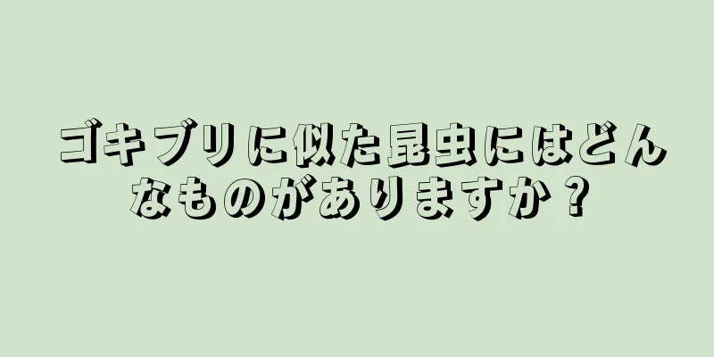 ゴキブリに似た昆虫にはどんなものがありますか？