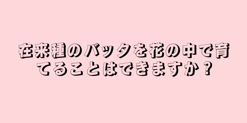 在来種のバッタを花の中で育てることはできますか？