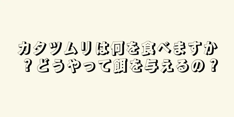 カタツムリは何を食べますか？どうやって餌を与えるの？