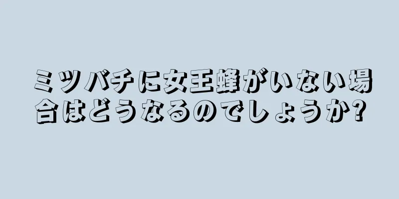 ミツバチに女王蜂がいない場合はどうなるのでしょうか?