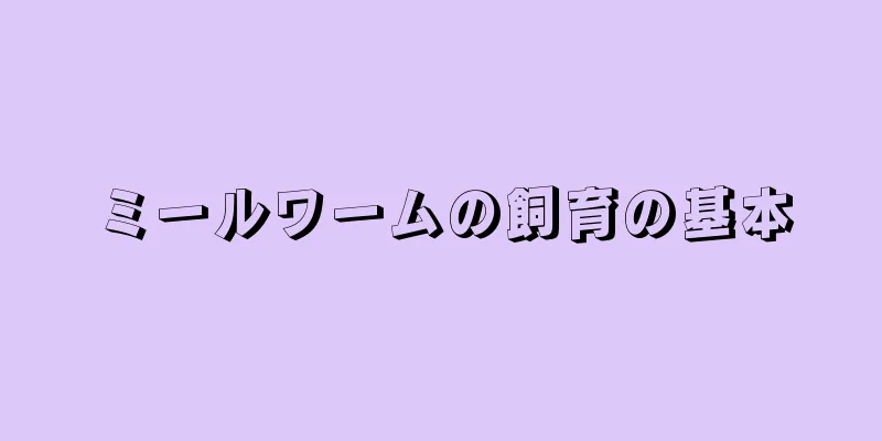 ミールワームの飼育の基本