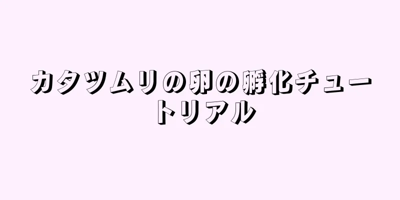 カタツムリの卵の孵化チュートリアル