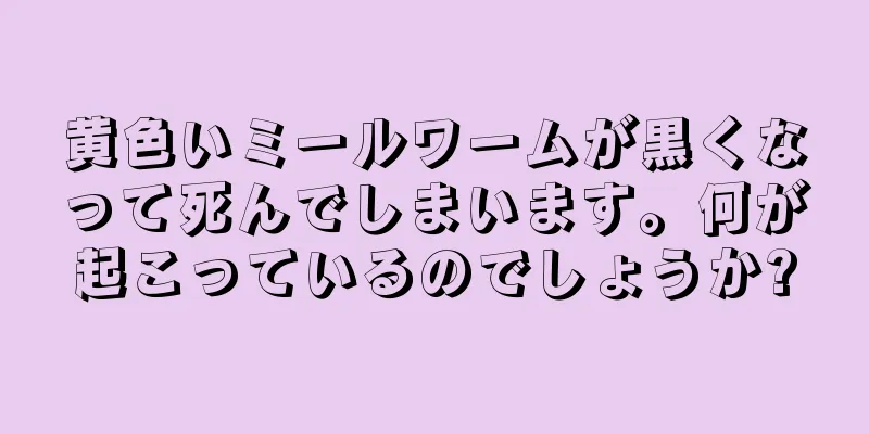 黄色いミールワームが黒くなって死んでしまいます。何が起こっているのでしょうか?