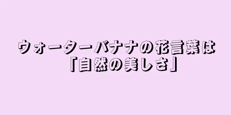 ウォーターバナナの花言葉は「自然の美しさ」