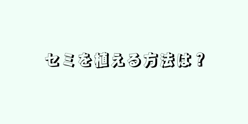 セミを植える方法は？
