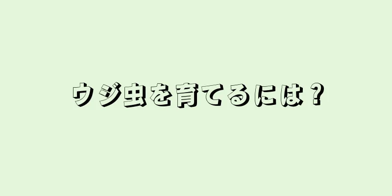 ウジ虫を育てるには？