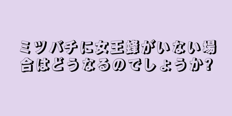 ミツバチに女王蜂がいない場合はどうなるのでしょうか?