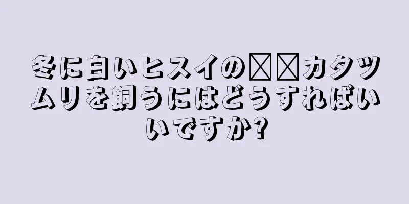 冬に白いヒスイの​​カタツムリを飼うにはどうすればいいですか?