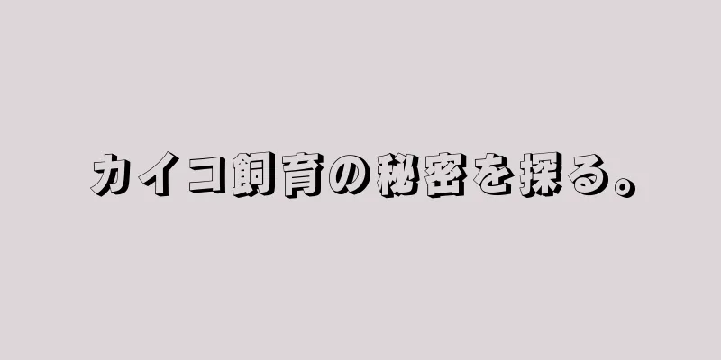 カイコ飼育の秘密を探る。