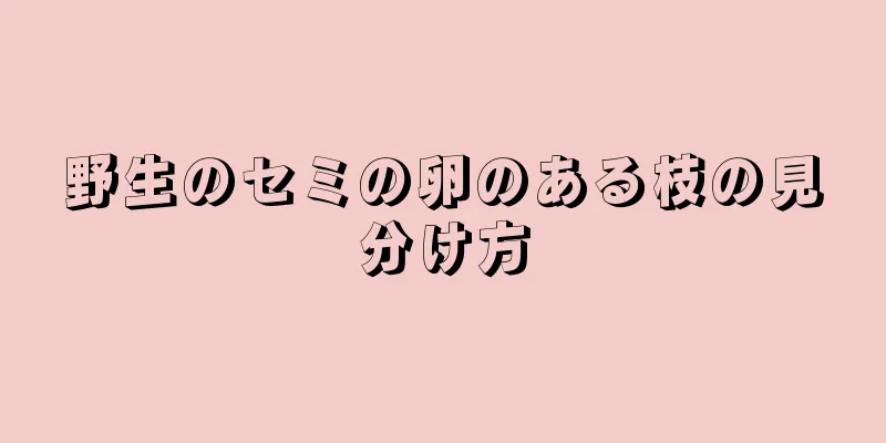 野生のセミの卵のある枝の見分け方