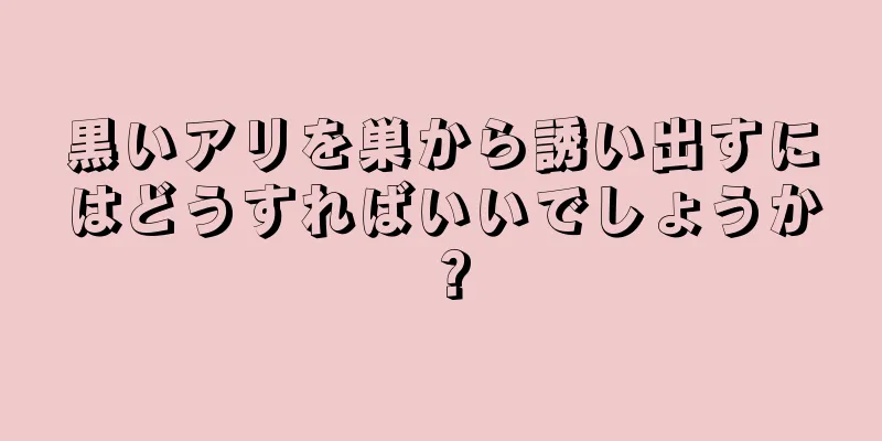 黒いアリを巣から誘い出すにはどうすればいいでしょうか？