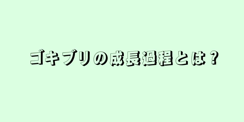 ゴキブリの成長過程とは？