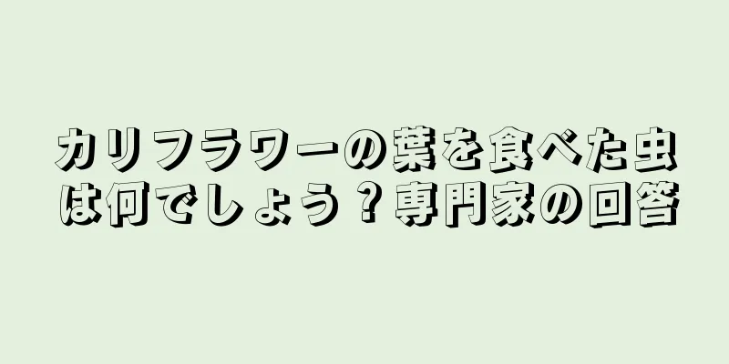 カリフラワーの葉を食べた虫は何でしょう？専門家の回答