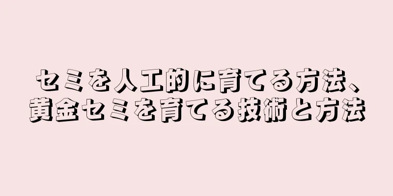セミを人工的に育てる方法、黄金セミを育てる技術と方法