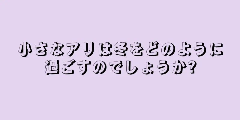 小さなアリは冬をどのように過ごすのでしょうか?