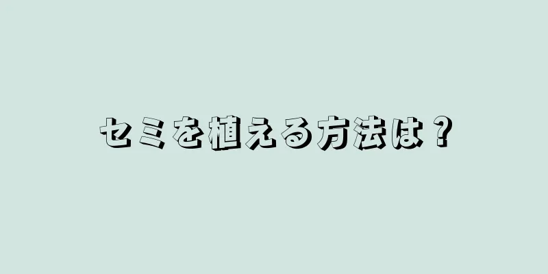 セミを植える方法は？