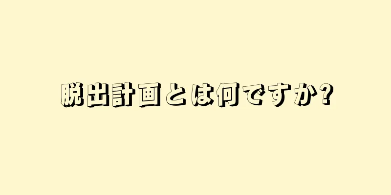 脱出計画とは何ですか?