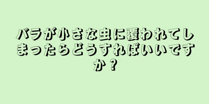 バラが小さな虫に覆われてしまったらどうすればいいですか？