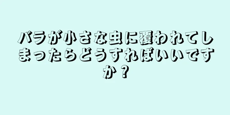 バラが小さな虫に覆われてしまったらどうすればいいですか？