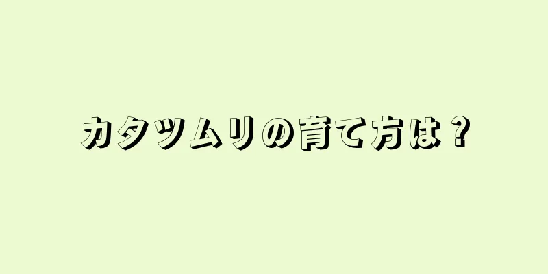 カタツムリの育て方は？