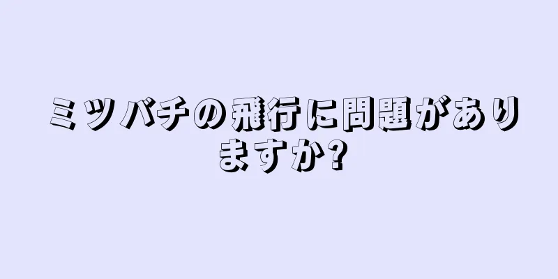 ミツバチの飛行に問題がありますか?