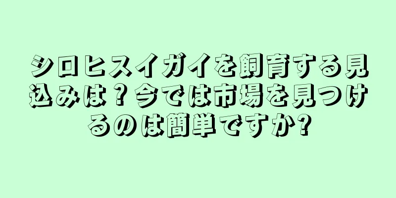 シロヒスイガイを飼育する見込みは？今では市場を見つけるのは簡単ですか?