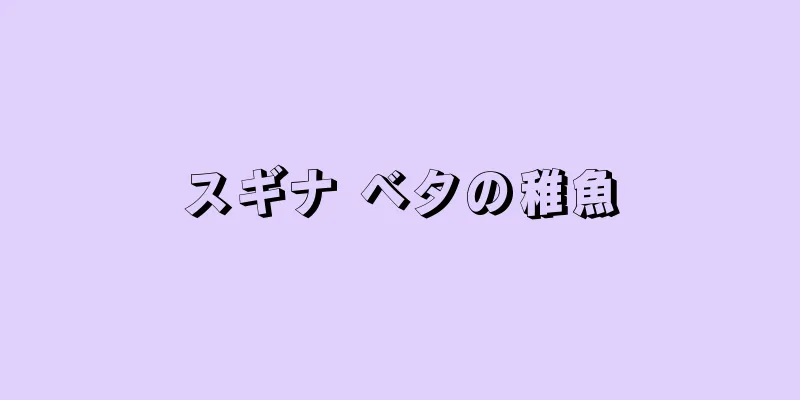 スギナ ベタの稚魚