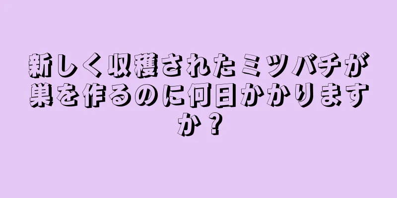 新しく収穫されたミツバチが巣を作るのに何日かかりますか？