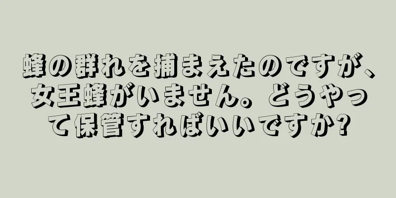 蜂の群れを捕まえたのですが、女王蜂がいません。どうやって保管すればいいですか?
