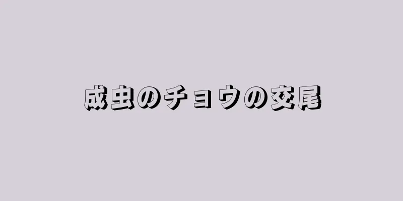 成虫のチョウの交尾