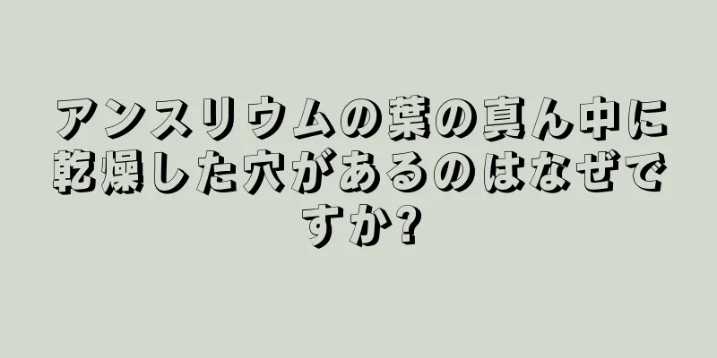 アンスリウムの葉の真ん中に乾燥した穴があるのはなぜですか?